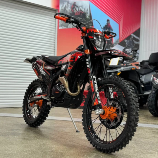 Кроссовый мотоцикл FAIDET PR300 MAX WP в Камышине
