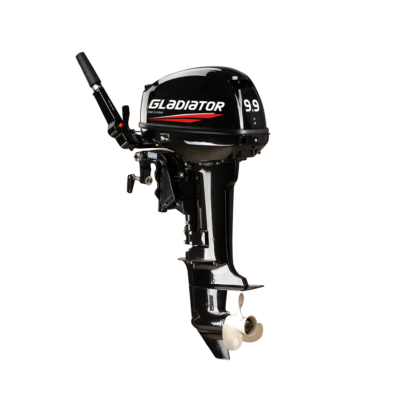 ЛОДОЧНЫЙ МОТОР GLADIATOR G9.9FHS в Камышине