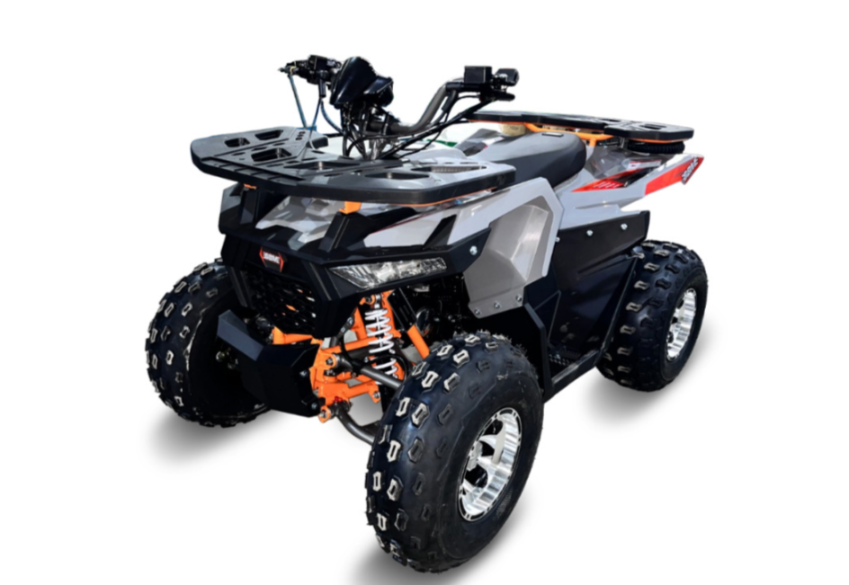 Квадроцикл GBM DAXTER 220 NEW PREMIUM в Камышине