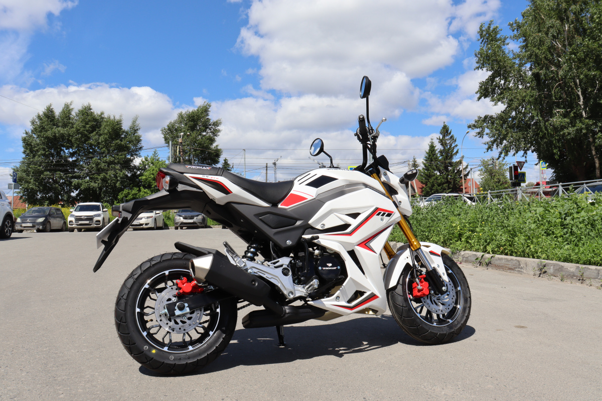 Мотоцикл PROMAX STRYKER 200(49) 2.0 в Камышине