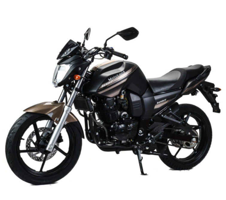 Мотоцикл MOTOLAND (МОТОЛЕНД) 300 BANDIT в Камышине