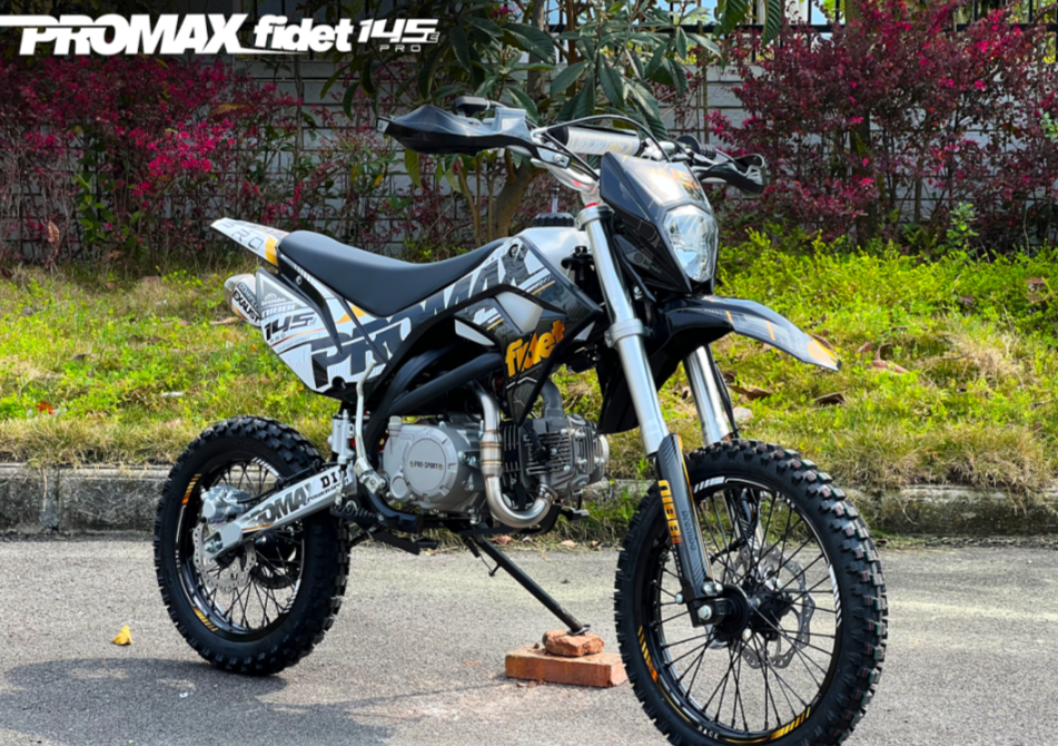 Мотоцикл (питбайк) PROMAX FIDET (ФАЙДЕТ) 145E PRO 17/14 в Камышине