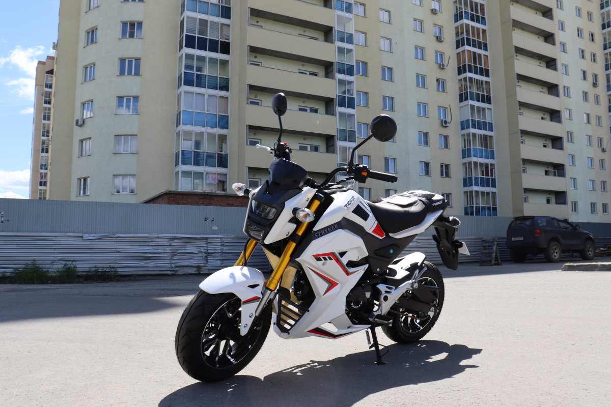Мотоцикл PROMAX STRYKER 200(49) 2.0 в Камышине