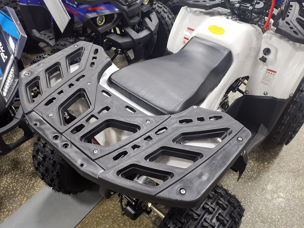 Квадроцикл PROMAX WILD 175 LUX в Камышине