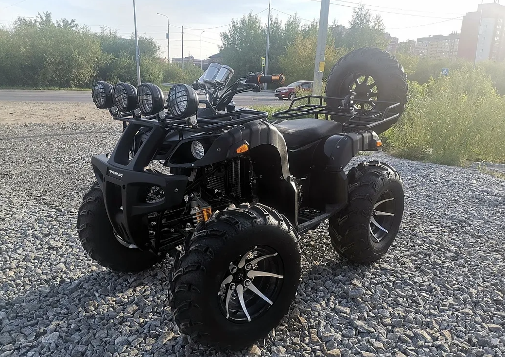Квадроцикл PROMAX LEO 300 Max (кардан) в Камышине