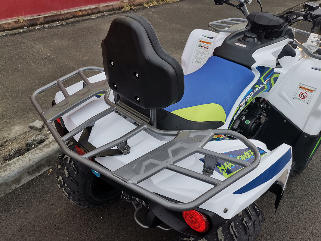 Квадроцикл PROMAX RENEGADE 280 LUX (2025) в Камышине