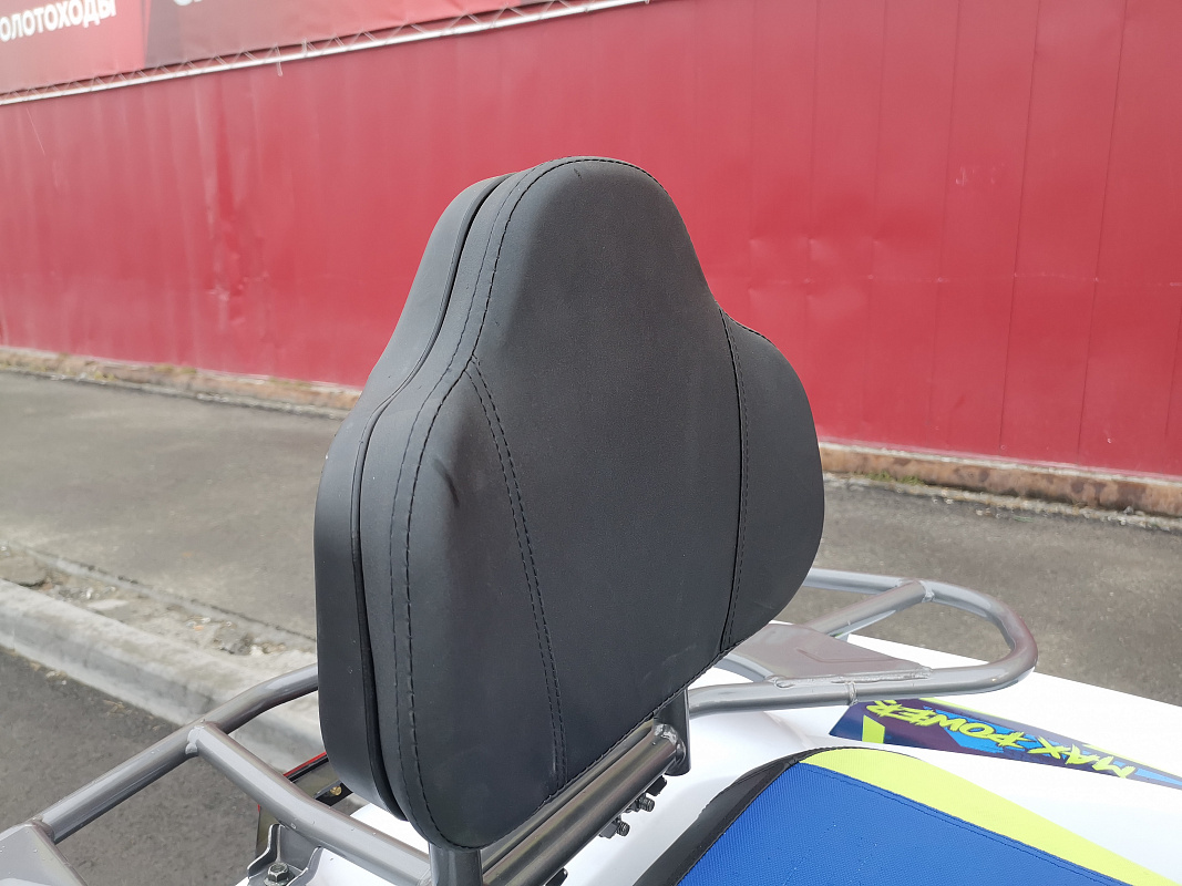 Квадроцикл PROMAX RENEGADE 280 LUX (2025) в Камышине