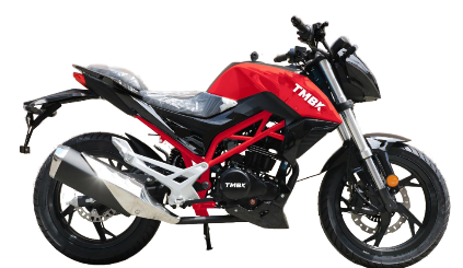 Мотоцикл TMBK Dukes 200cc в Камышине