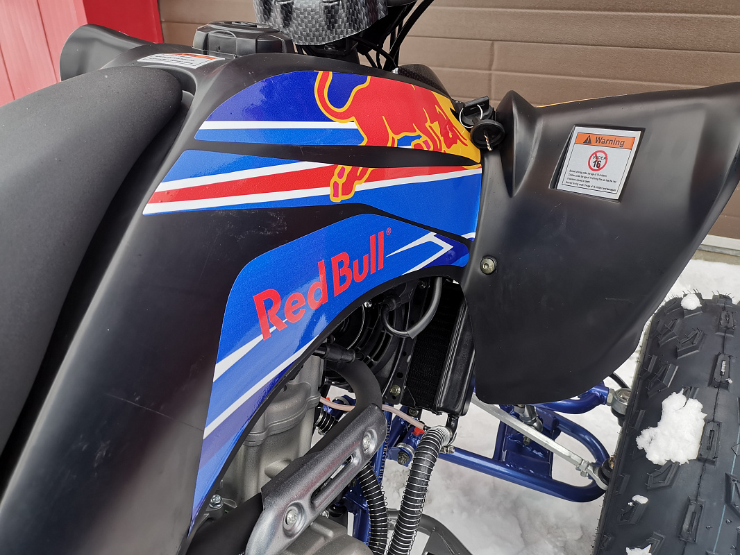 Квадроцикл PROMAX RAPTOR 300 NEW RedBull в Камышине