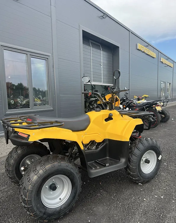 КВАДРОЦИКЛ IRBIS ATV 250  в Камышине