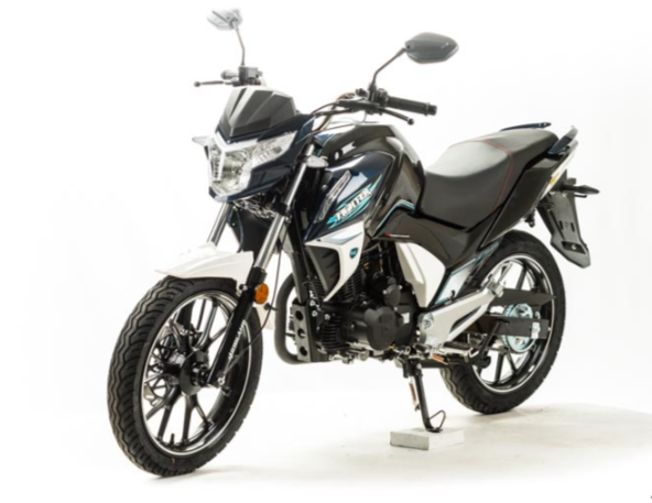 Мотоцикл MOTOLAND (МОТОЛЕНД) FIGHTER 250 в Камышине