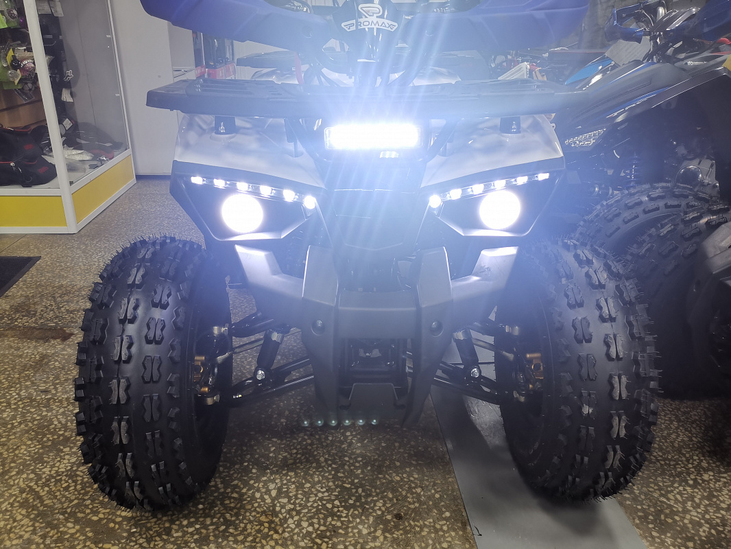 Квадроцикл PROMAX WILD 175 LUX в Камышине