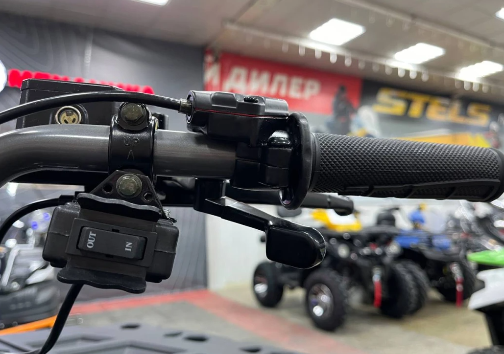 Квадроцикл PROMAX RENEGADE 300 LONG WINCH PRO (2025) в Камышине