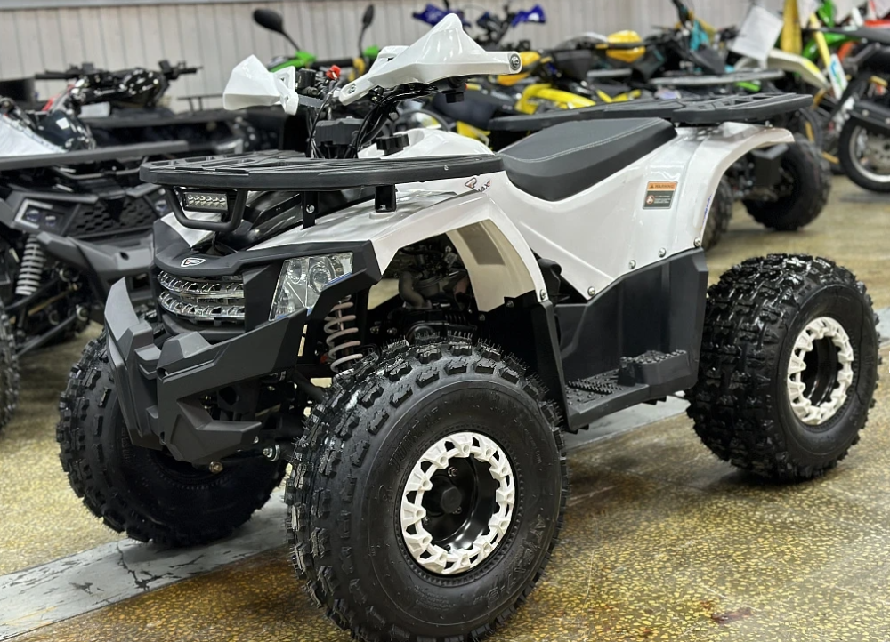 Квадроцикл PROMAX WILD 2.0 190 в Камышине