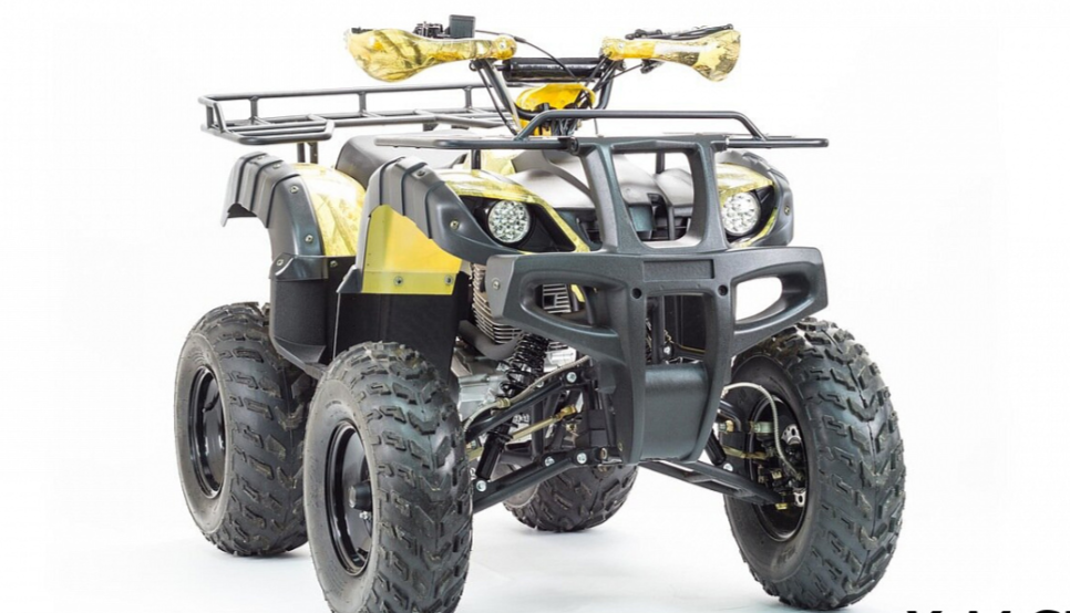 Квадроцикл MOTOLAND (МОТОЛЕНД) 250 ADVENTURE в Камышине