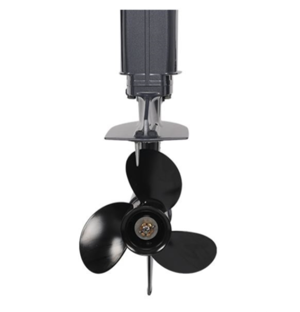 Лодочный мотор ALLFA CG Т40FW S в Камышине