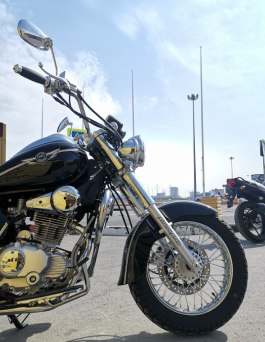 Мотоцикл MOTOLAND (МОТОЛЕНД) WOLF 250 в Камышине