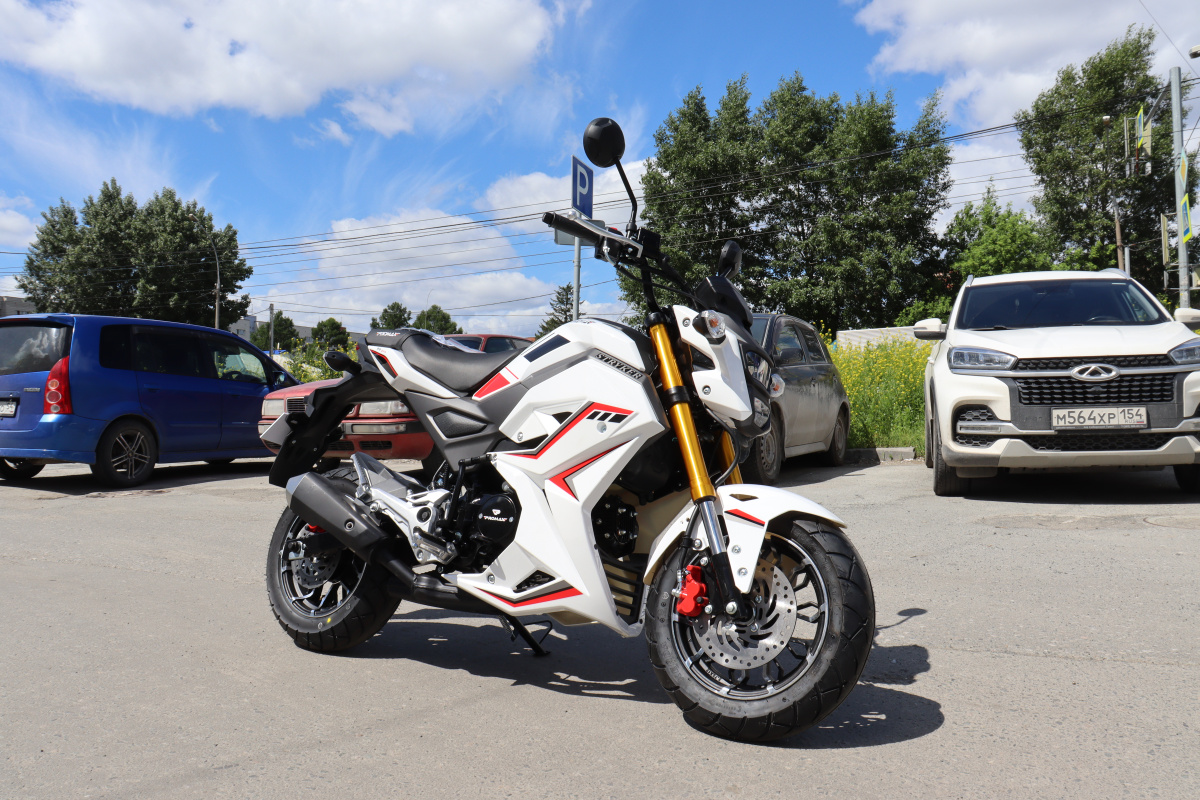 Мотоцикл PROMAX STRYKER 200(49) 2.0 в Камышине