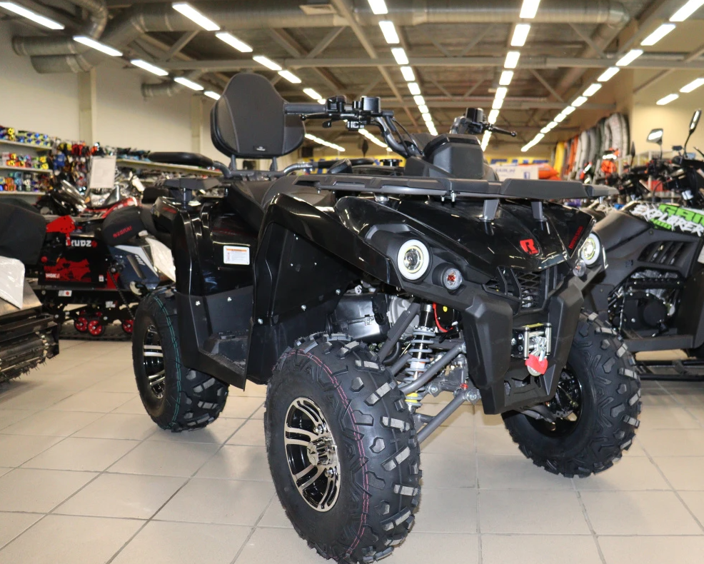 Квадроцикл PROMAX RENEGADE 300 LONG WINCH PRO (2025) в Камышине