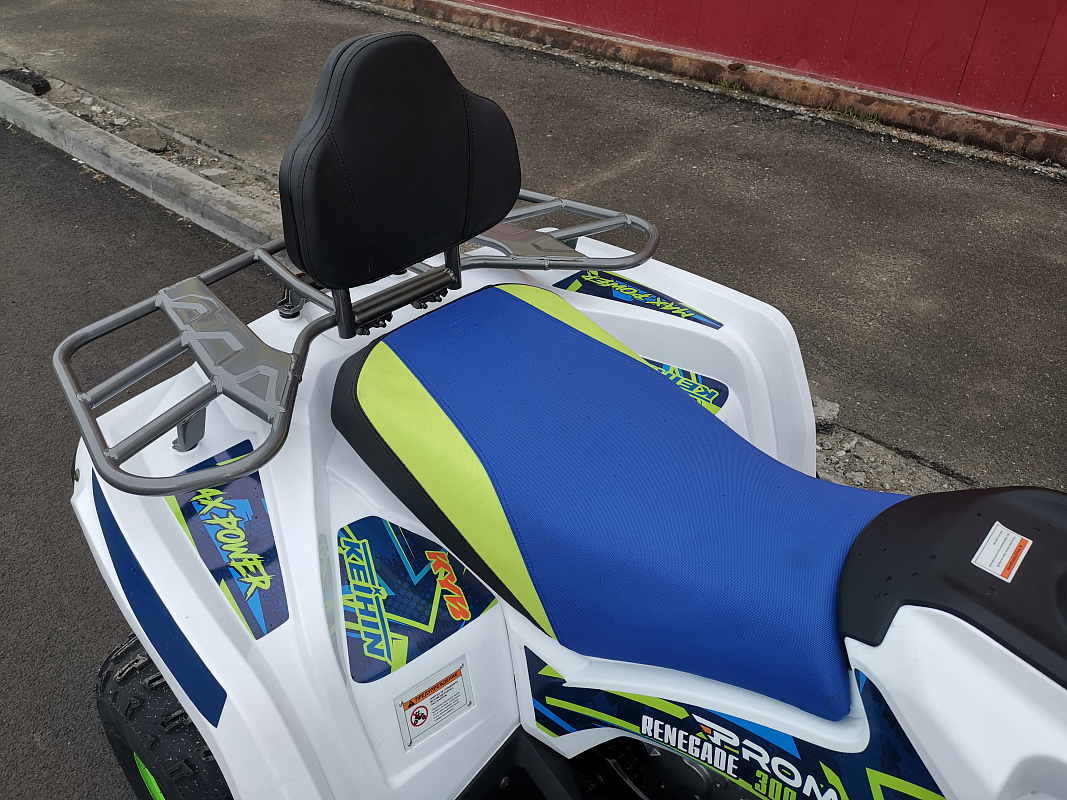 Квадроцикл PROMAX RENEGADE 280 LUX (2025) в Камышине