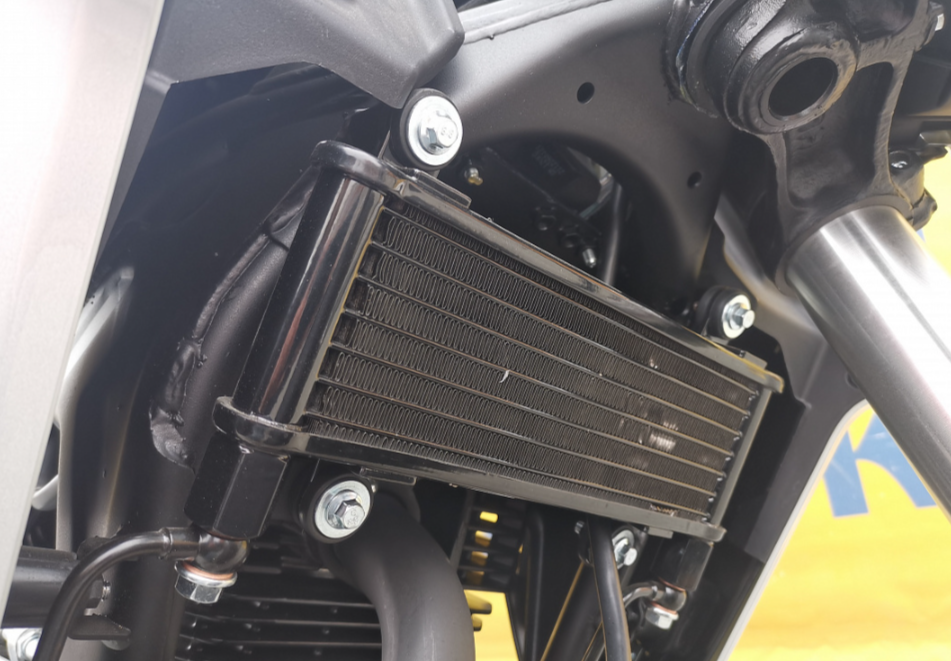 Мотоцикл MOTOLAND (МОТОЛЕНД) 250 CB250 (172FMM-5/PR250) (2022 г.) в Камышине