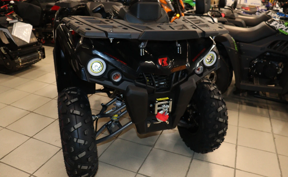 Квадроцикл PROMAX RENEGADE 300 LONG WINCH PRO (2025) в Камышине