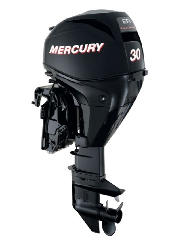 ЛОДОЧНЫЙ МОТОР MERCURY  F 30 ELH GA EFI в Камышине