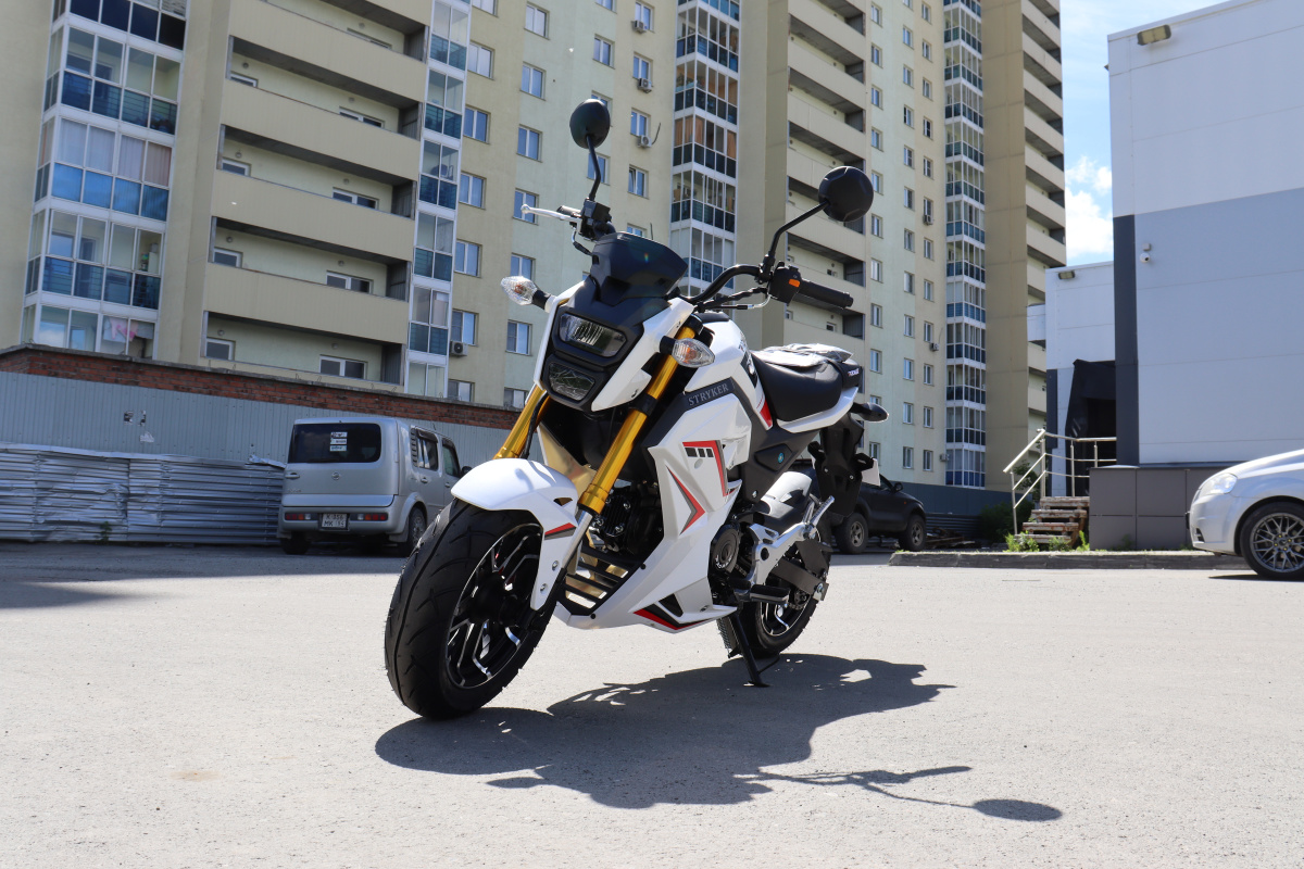 Мотоцикл PROMAX STRYKER 200(49) 2.0 в Камышине