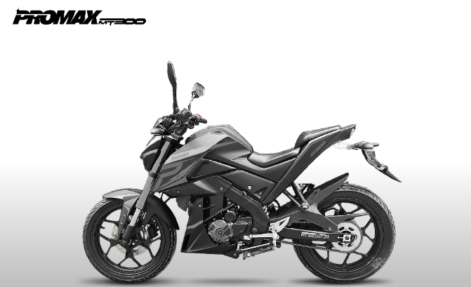 Мотоцикл PROMAX MT300 в Камышине