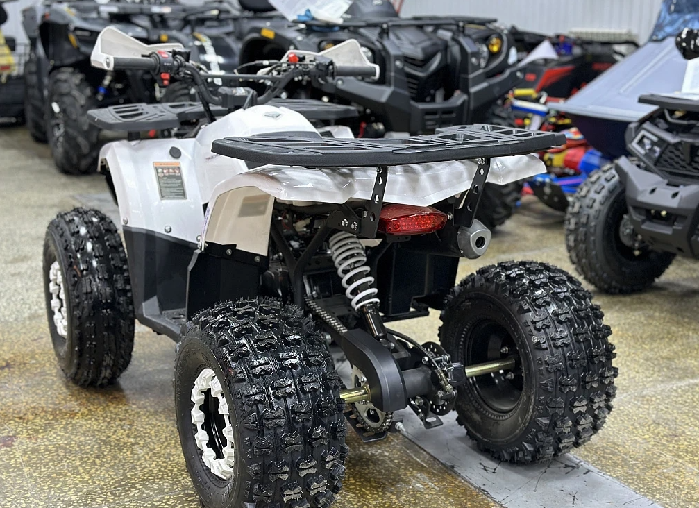 Квадроцикл PROMAX WILD 2.0 190 в Камышине