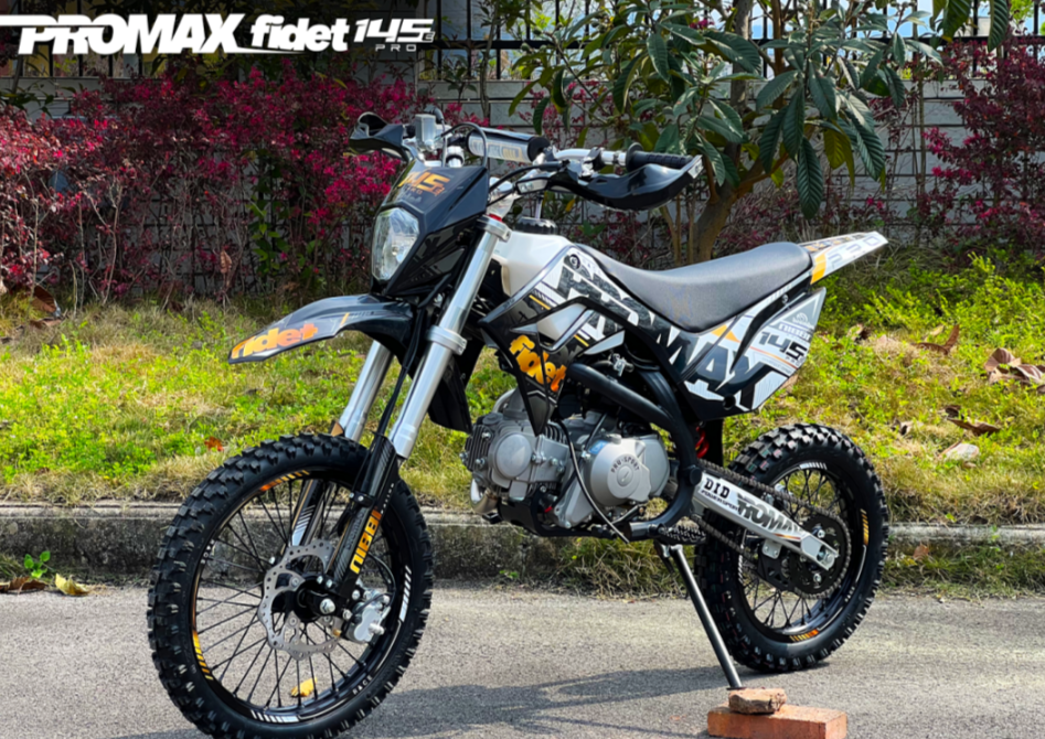 Мотоцикл (питбайк) PROMAX FIDET (ФАЙДЕТ) 145E PRO 17/14 в Камышине