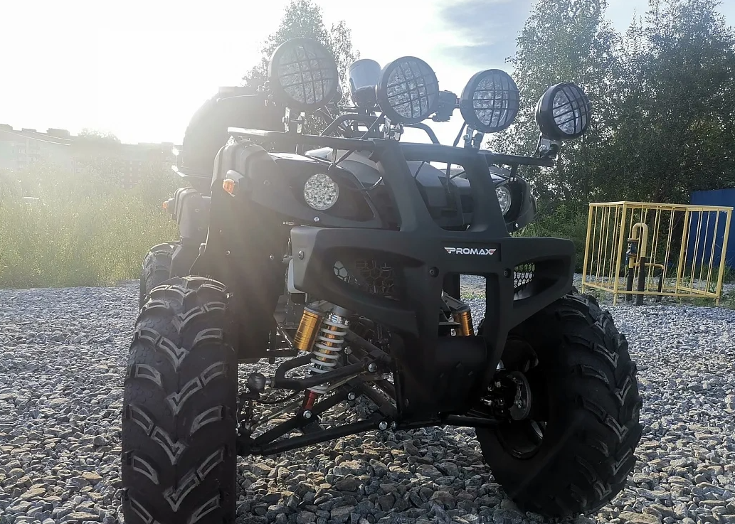 Квадроцикл PROMAX LEO 300 Max (кардан) в Камышине