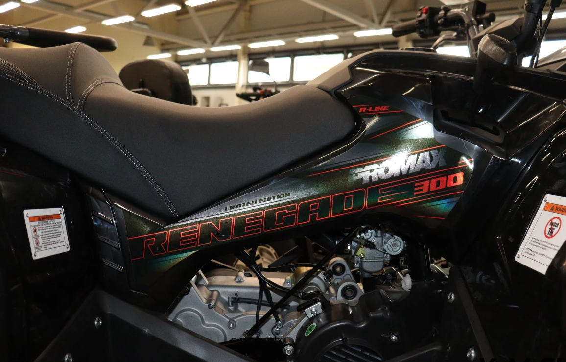 Квадроцикл PROMAX RENEGADE 300 LONG WINCH PRO (2025) в Камышине