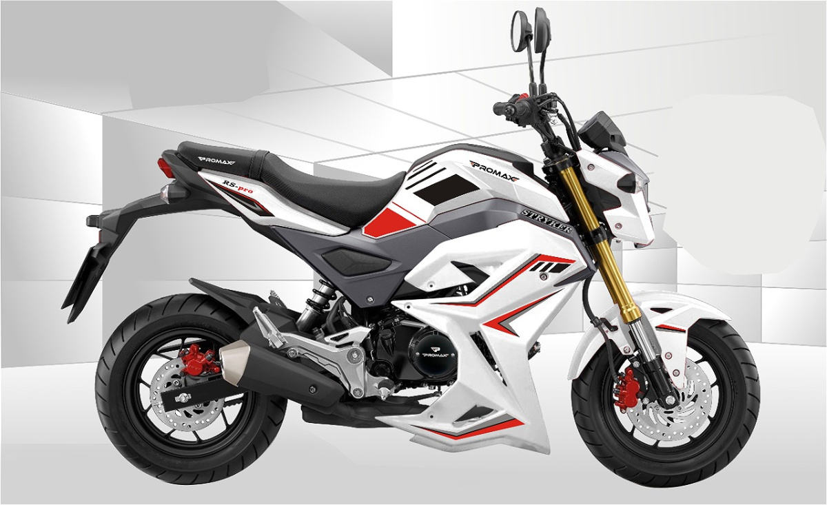 Мотоцикл PROMAX STRYKER 200(49) 2.0 в Камышине