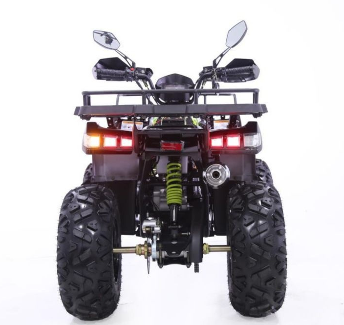 Квадроцикл YACOTA WARRIOR 200 PRO в Камышине