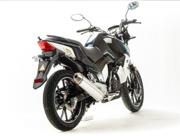 Мотоцикл MOTOLAND (МОТОЛЕНД) FIGHTER 250 в Камышине