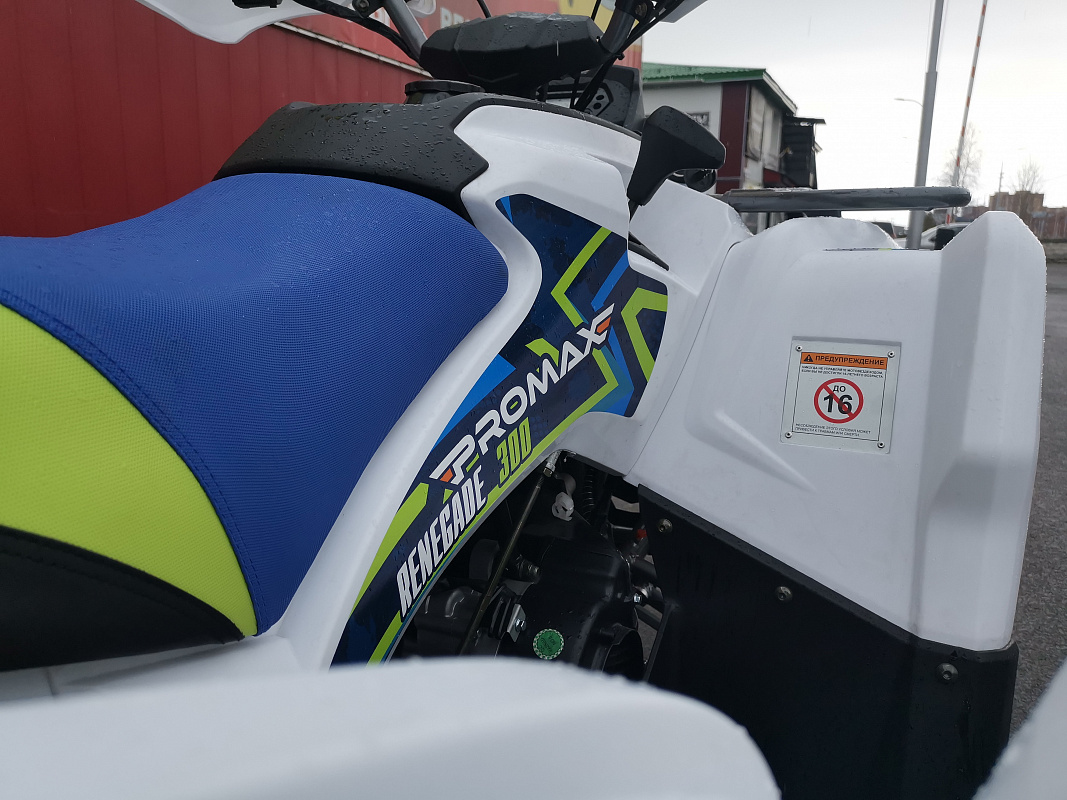 Квадроцикл PROMAX RENEGADE 280 LUX (2025) в Камышине