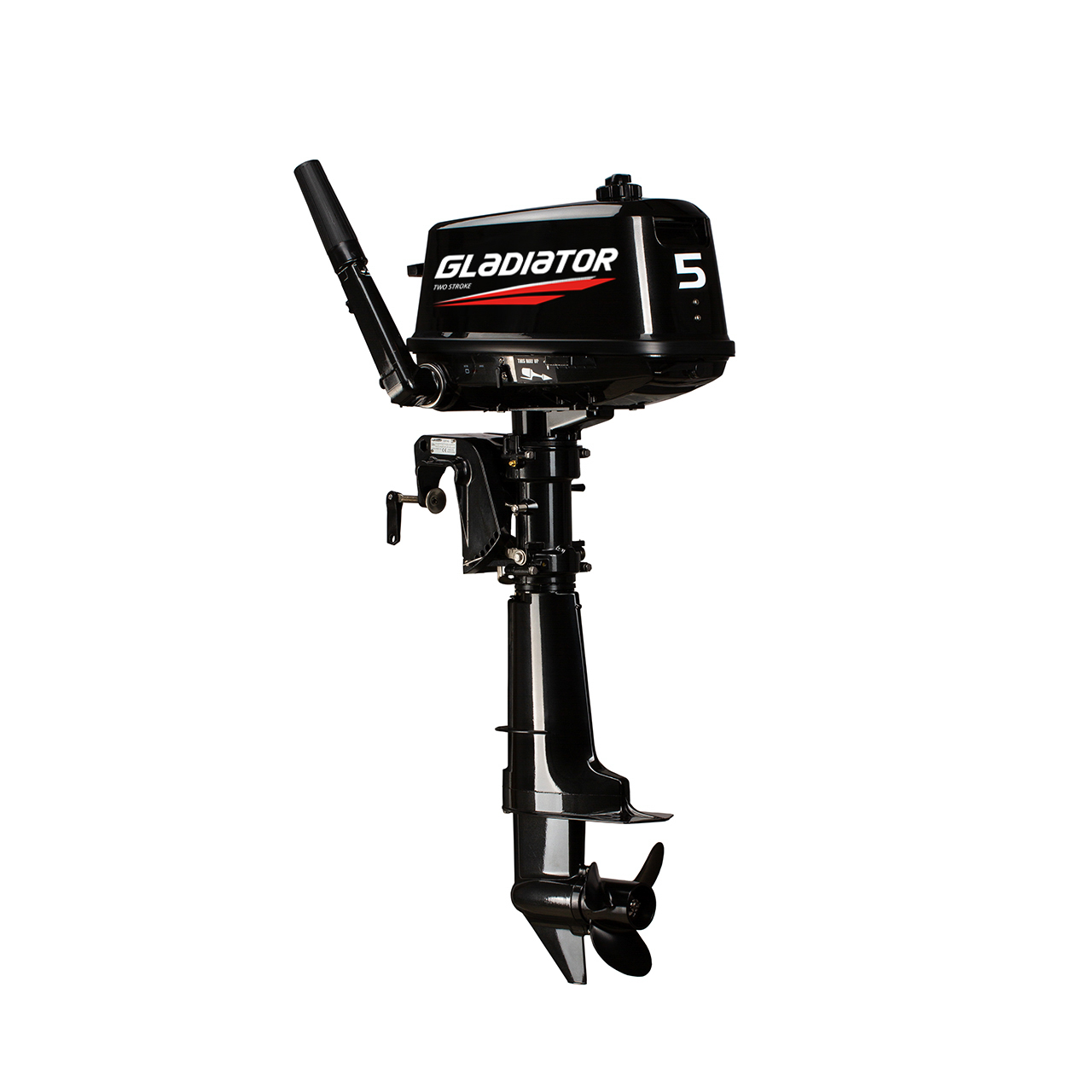 ЛОДОЧНЫЙ МОТОР GLADIATOR G5FHS в Камышине