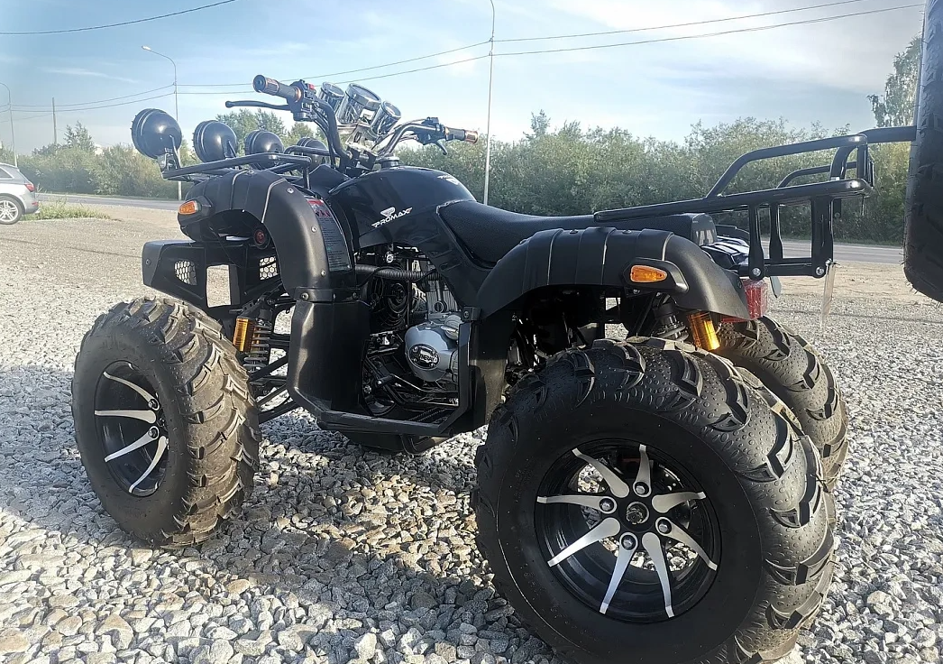 Квадроцикл PROMAX LEO 300 Max (кардан) в Камышине