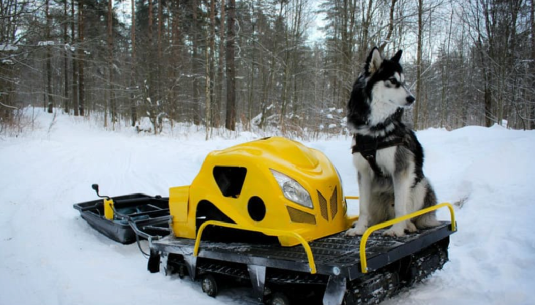 Мотобуксировщик LEBEDEV MOTORS ВОЛКОДАВ POWER V13 в Камышине