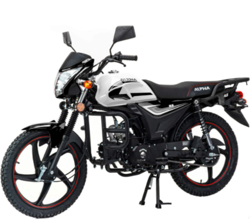 Мопед MOTOLAND (МОТОЛЕНД) Альфа RS 11 (LM48-B) в Камышине