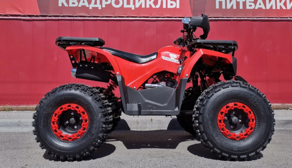 Квадроцикл PROMAX WILD 175 BASIC в Камышине