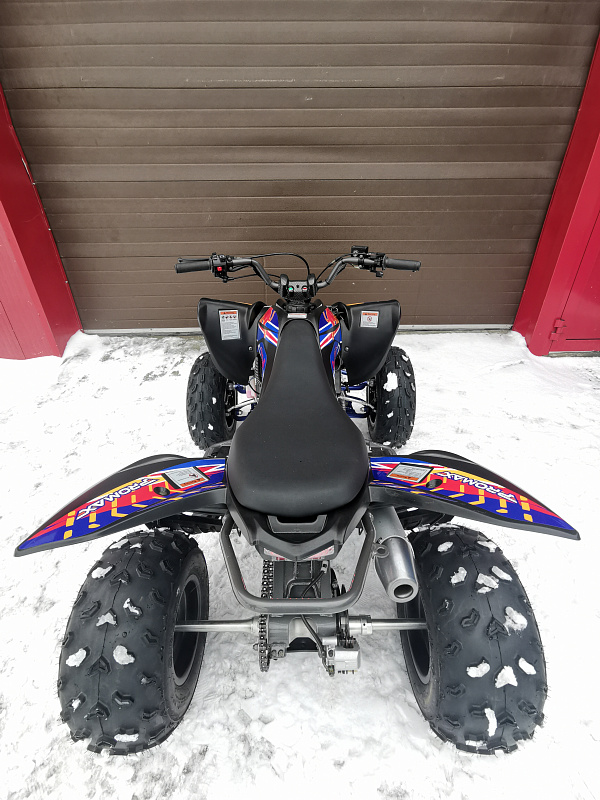 Квадроцикл PROMAX RAPTOR 300 NEW RedBull в Камышине