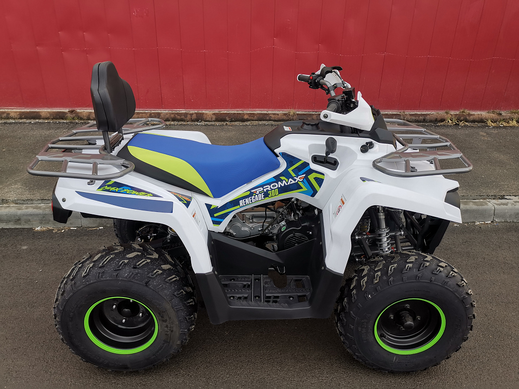 Квадроцикл PROMAX RENEGADE 280 LUX (2025) в Камышине