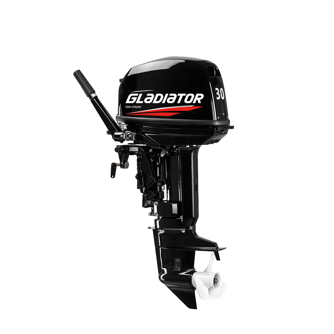 ЛОДОЧНЫЙ МОТОР GLADIATOR G30FHS в Камышине