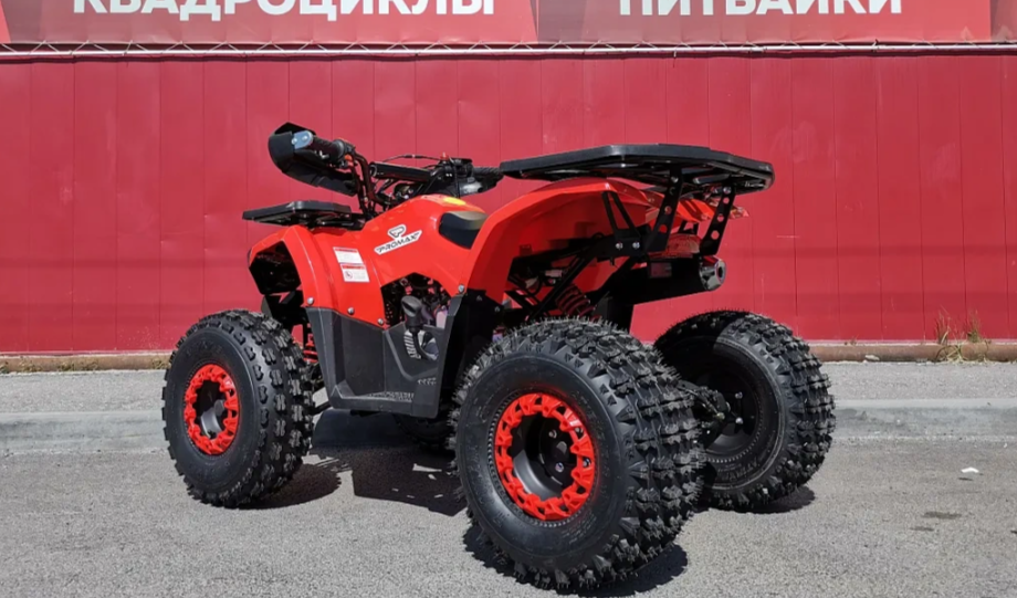 Квадроцикл PROMAX WILD 175 BASIC в Камышине