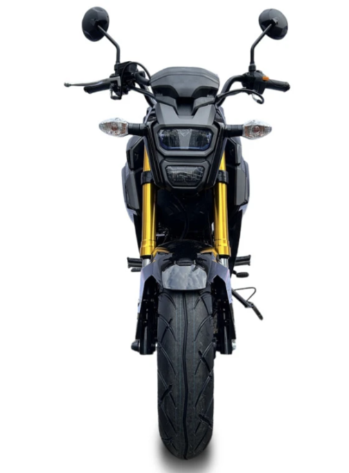 Мотоцикл PROMAX STRYKER 200(49) в Камышине