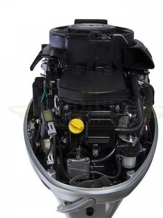 Лодочный мотор SEANOVO SNEF30FEL-EFI в Камышине
