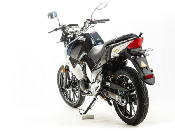 Мотоцикл MOTOLAND (МОТОЛЕНД) FIGHTER 250 в Камышине