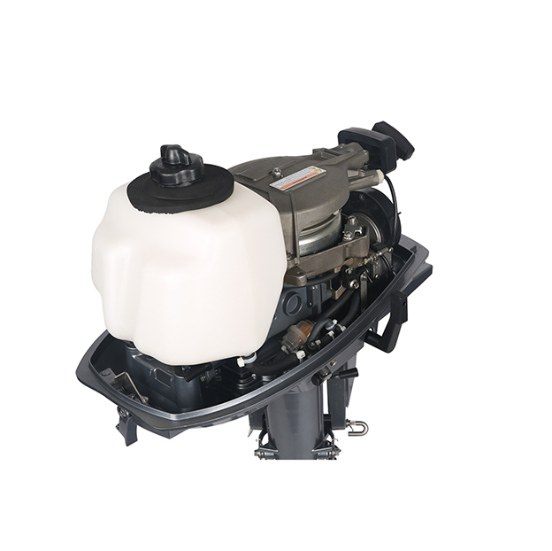 ЛОДОЧНЫЙ МОТОР ALLFA CG T5 в Камышине